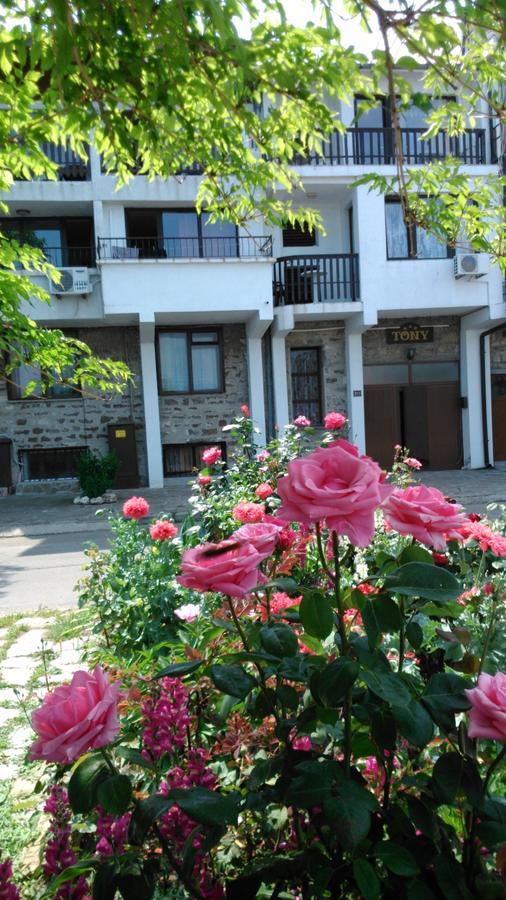 נסבר Guest House Tony מראה חיצוני תמונה